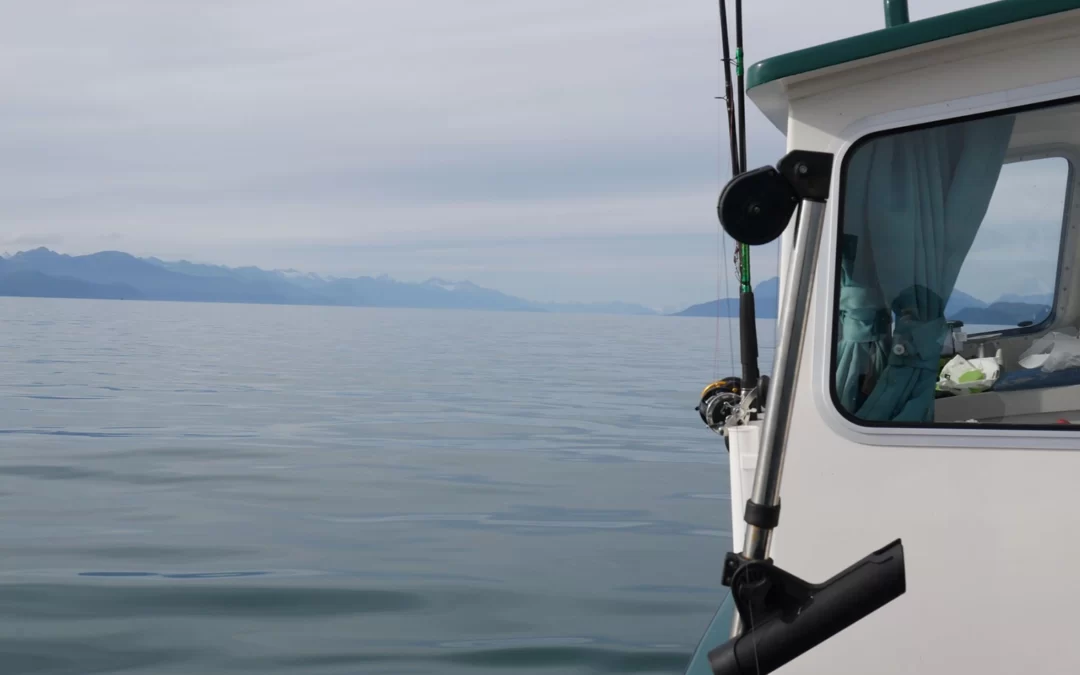 Returning to the Salmon Fishing Hole