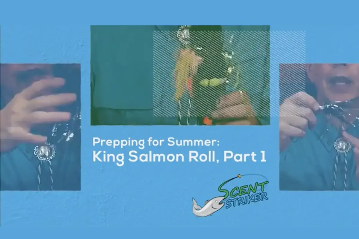 king salmon rig