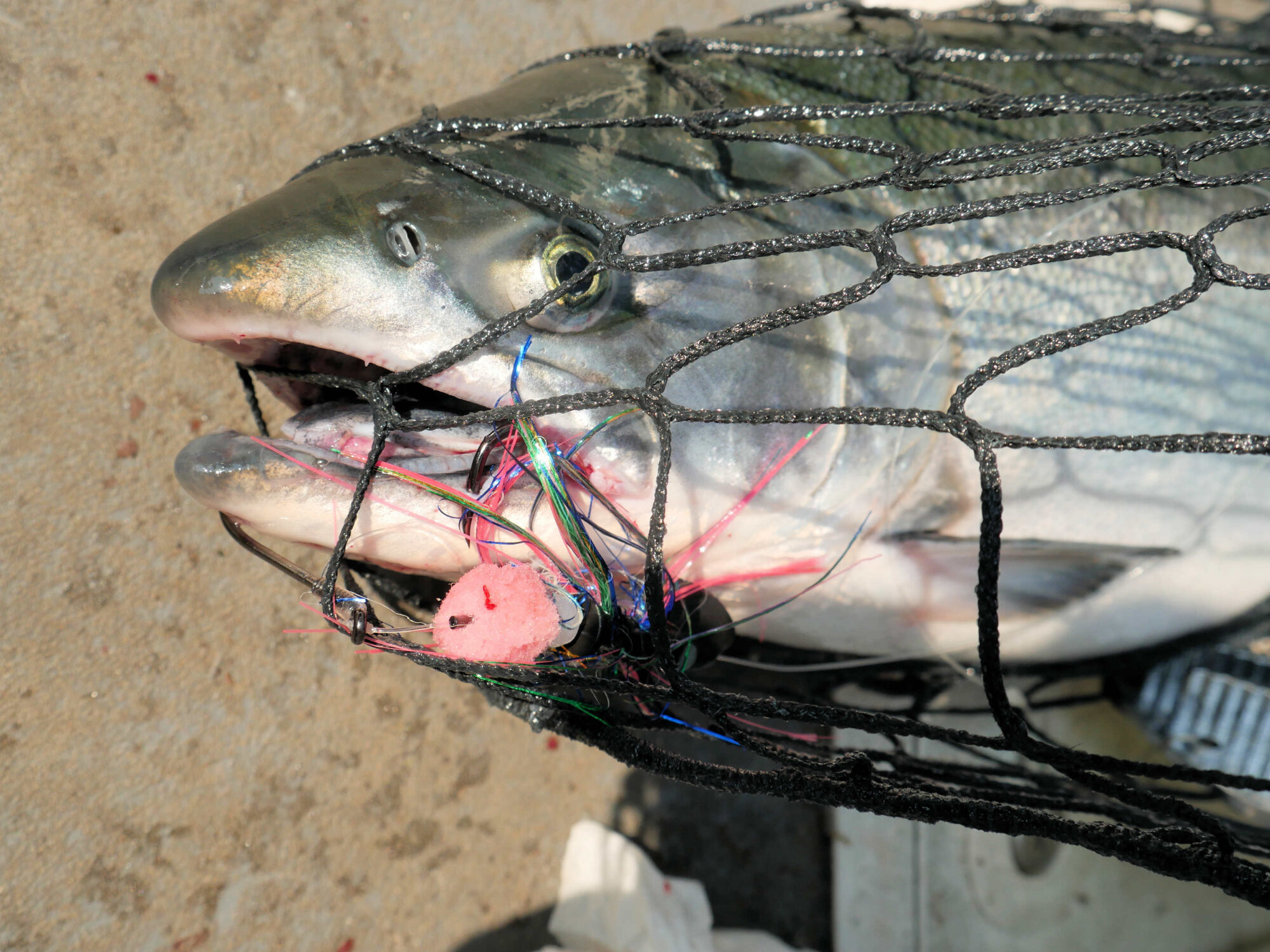 Salmon Lures for Low Light Conditions