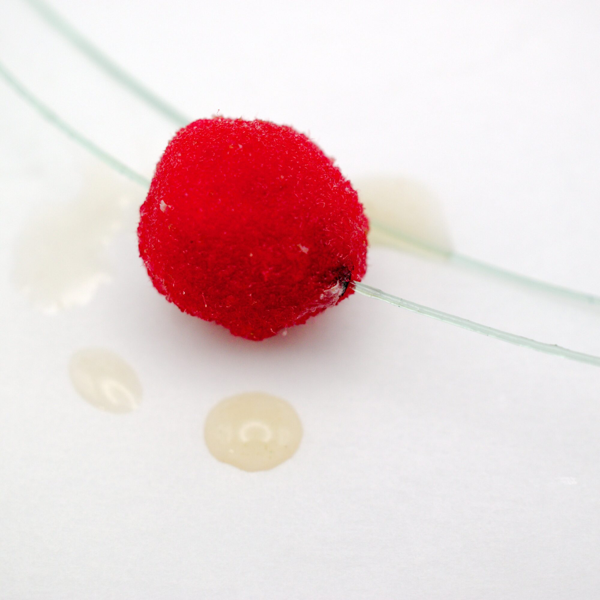 Original Scent Striker