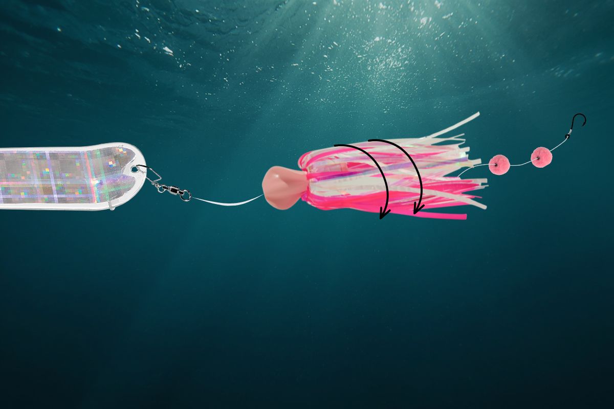 Salmon Fishing means gear in the water and slow rotation Action for bite commits