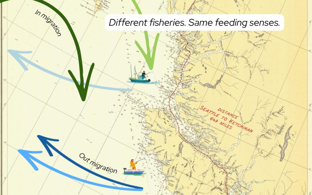 Salmon Fishing Beyond Alaska