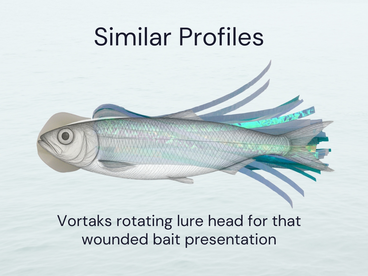 Illustration of a baitfish-shaped fishing lure designed to imitate natural forage fish. The lure features a realistic herring profile with an iridescent body, a rotating lure head, and flowing blue and turquoise skirt strands trailing behind. Text reads, “Similar Profiles” and “Vortaks rotating lure head for that wounded bait presentation.”